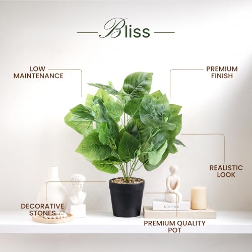 Image of Habere India-All the Cultures Fabricating India Tropical Philodendron Artificial Plants with Pot for Home Decor | Small Fake Plants for Living Room & Indoor Decoration (Design06: L9 x W9 x H40 cm)