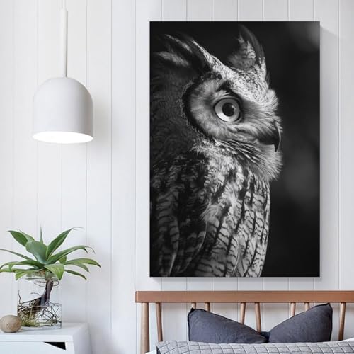 Impression d'art mural hibou rompre la monotonie d'un mur blanc - 5