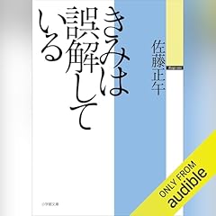 『きみは誤解している』のカバーアート
