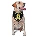 Army - Staff Sergeant Triangle Dog Bandana Scarf Accessories for Pet Bibs