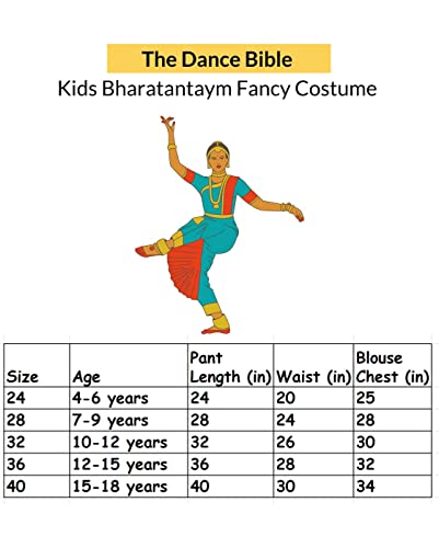 The Dance Bible Bharatanatyam Dance Costume Dress for Girls in Red and Yellow