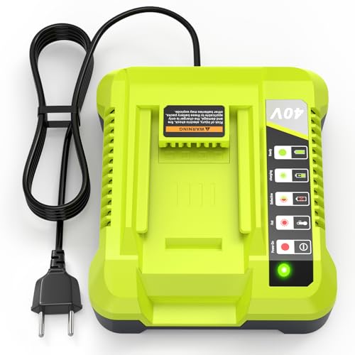 LabTEC Cargador de Batería de un Puerto para Ryobi OP401, 40V Li-Ion de Repuesto y NI-Cad NI-Mh 12V-18V, Compatible con OP4015 OP4026 OP4040 OP4050, 40 voltios Ryobi Cargador de Batería(EU Plug
