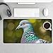 Grey Pigeon Desk Mat Non-Slip Laptop Writing Pad Large Keyboard Mousepad with Rubber Base 23.6