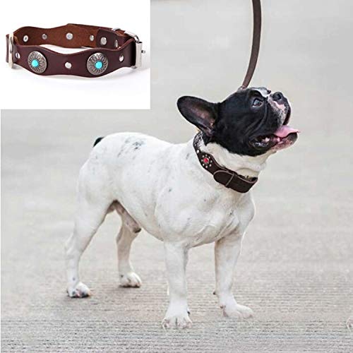 Collier de Compagnie en Cuir Véritable et Diamant pour Chien LLD Green