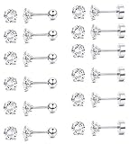 CARSHIER 316L Stainless Steel Mens Womens Stud Earrings Cartilage Ear Studs Piercings Helix Tragus B