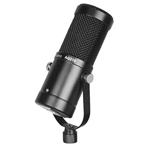 Micrófono grabador de condensador LLD AQ-210 con doble micro K Song