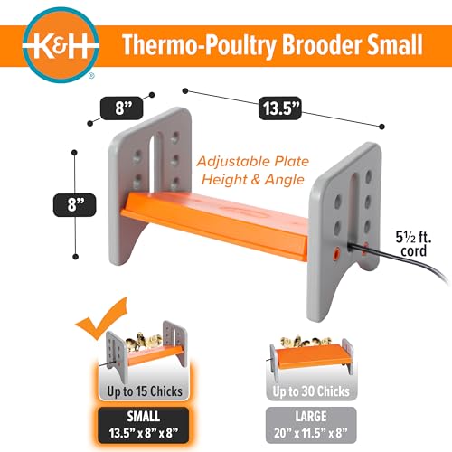 K&H Pet Products Chicken Brooder Heater for Chicks Ducklings, Adjustable Heating Plate for Brooder Boxes, Warms up to 15 Chicks, Chicken Coop Poultry Heating with Safety Light, Small 25 Watts by K&H Pet Products - Image 2