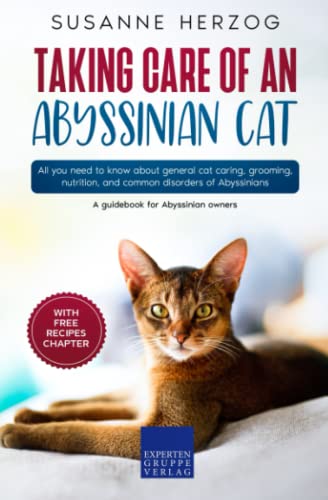Taking care of an Abyssinian Cat: All you need to know about general cat caring, grooming, nutrition, and common disorders of Abyssinians
