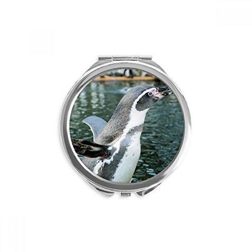 Miroir de poche manchot de l'Antarctique, petit format rond et portable pour retouches