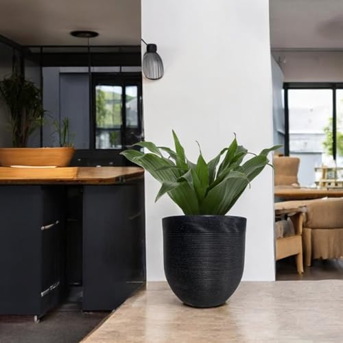 Image of Amazon Brand - Umi 10 Inch Large Plastic Planter Pot for Indoor Outdoor Plants | Big Size Garden Gamla UV Resistant Polymer Flower Pot | Black Decorative Pot for Balcony, Garden, Terrace & Home Decor
