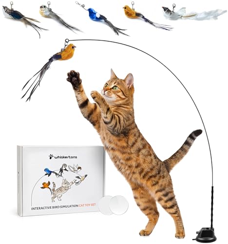Whiskertons Interactive Bird Simulation Cat Toy Set Interactive Cat Toys for Indoor Cats Cat Feather Toy Self-Holding Suction Base 5 Replacement Birds Feathers & Bells Realistic Bird Impression