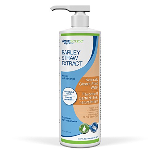 Aquascape 98904 Barley Straw Extract for Pond and Stream Features, 16-Ounce