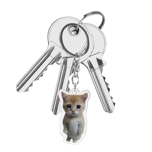 Qzdtue Porte-clés en forme de chat | Porte-clés unisexe en forme de chat qui pleure | Chaîne amusante en acrylique 2D pour téléphone portable avec cordon pour sac à main, portefeuille, décoration de
