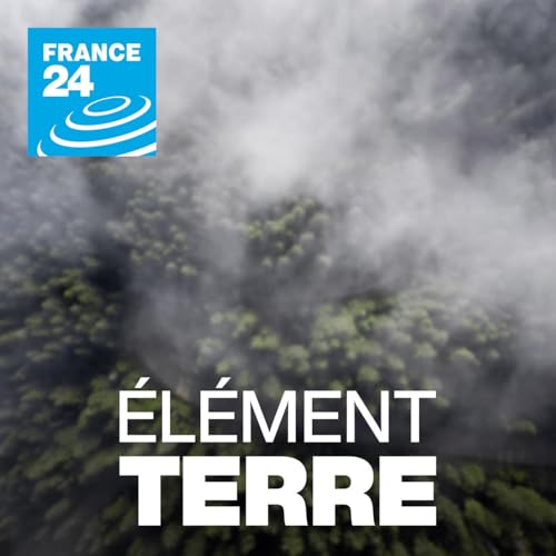 Couverture de Pluies extr&ecirc;mes et inondations : l'une des cons&eacute;quences du r&eacute;chauffement climatique