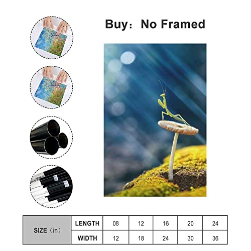Praying Mantis On Mushroom Insects Canvas Poster Bedroom Decor Sports Landscape Office Room Decor Gift,Canvas Poster Wall Art Decor Print Picture Paintings For Living Room Bedroom Decoration 12X18Inch #TOP1