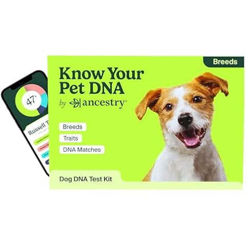 Ancestry Dog DNA Test: at-Home Testing | Breed Identification & Trait Insights | Canine Genetics Analysis | Unique Pet Parent Gift | New Puppy Essentials Cover