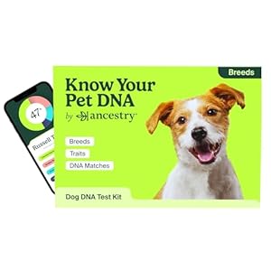 Dog DNA Test by Ancestry: at-Home Testing, Breed Identification & Trait Insights, Canine Genetics Analysis, Unique Pet Parent Gift, New Puppy Essentials Dog DNA Test by Ancestry at Home Testing Breed Identification Trait Insights Canine Genetics Analysis Unique Pet Parent Gift New Puppy Essentials