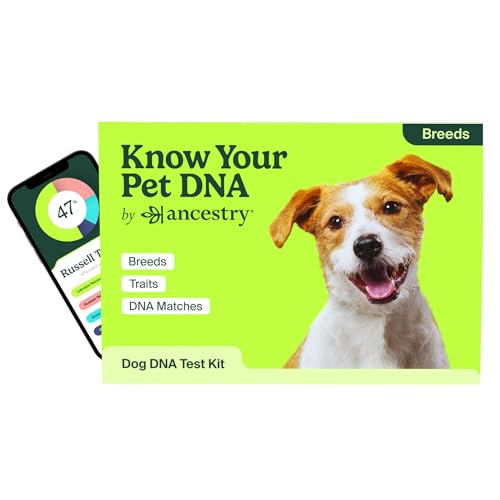 Dog DNA Test by Ancestry at Home Testing Breed Identification Trait Insights Canine Genetics Analysis Unique Pet Parent Gift New Puppy Essentials