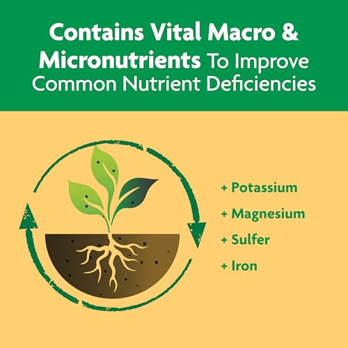 Image of Miracle-Gro Shake 'N Feed Citrus, Avocado, Mango Plant Food - Fertilizer for Container and In-Ground Plants, Citrus, Avocado and Mango Trees, 4.5 lbs. | For Container and In-Ground Plants, Citrus, Avocado and Mango Trees