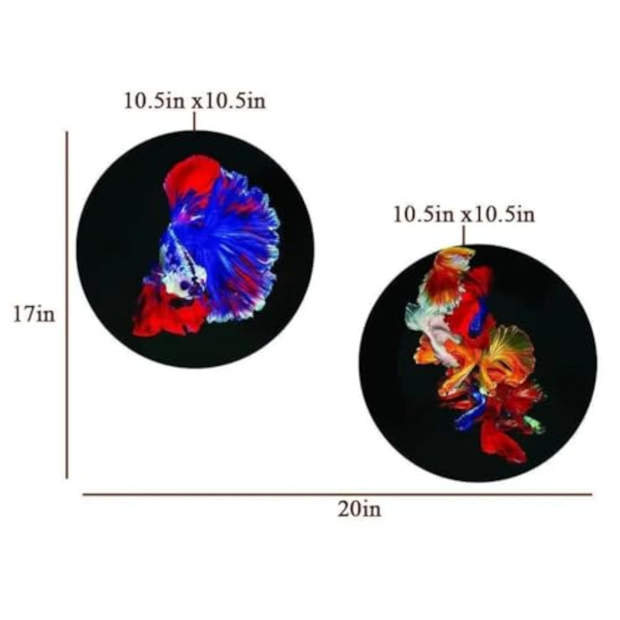 Vibrant Betta Fish Ceramic Wall Plates Set of 2