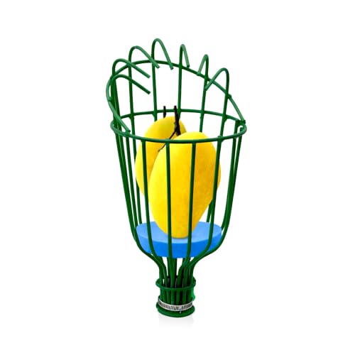 Image of Urban Plant Mango Plucker | Metal Fruit Picker Head | Green | with Sponge | Attaches to Any 1-Inch Pole | Rust-Proof Powder-Coated Iron (Pole Not Included)