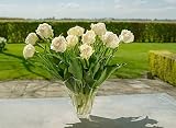5Pcs Tulip Bulbi Indoor Outdoor Decorazioni Popolari Giardini Essenziale Di Fiori Esotici