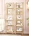 Hzuaneri Bookcase Bookshelf, Tempered Glass Arched Bookshelf for More Storage, Slim Shelving Unit for Bedroom, Bathroom, Home Office, Steel Frame, 5 Tier Gold BC20599G