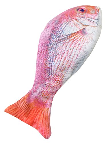 お魚ぬいぐるみがあまりにリアルで笑っちゃった件 さかなのさ 魚美味探求