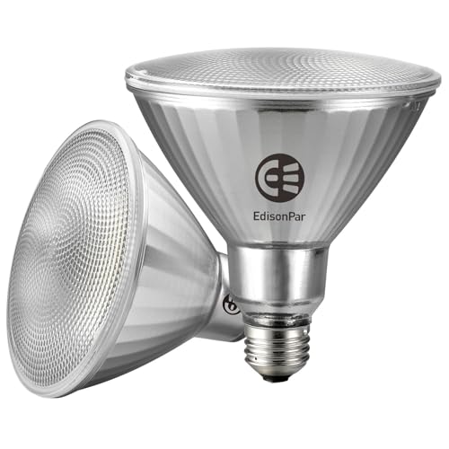 EdisonPar Full-Glass PAR38 LED Flood Light Bulbs Outdoor/Indoor Equivalent 300 Watt 4000 Lumens Ultra Bright Non-Dimmable Waterproof 5000K Daylight 2-Pack