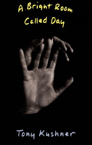 A Bright Room Called Day (English Edition)