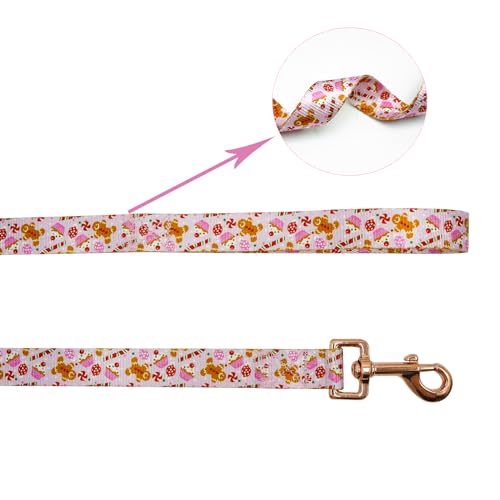 Collier pour chien avec laisse rose pour balade urbaine et parc