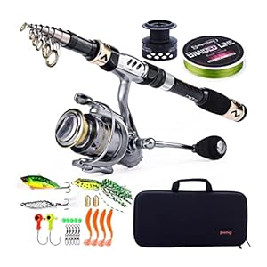 DSJ Chignon de Pêche À La Canne À Pêche Et Bobines, Bobine À Pêche Télescopique En Fibre de Carbone 13 1 Bb Avec Kit de…