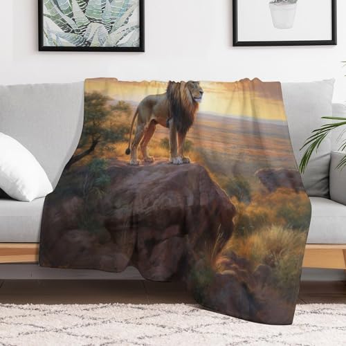 Couverture lion de flannel polaire de qualité supérieure douce - 3