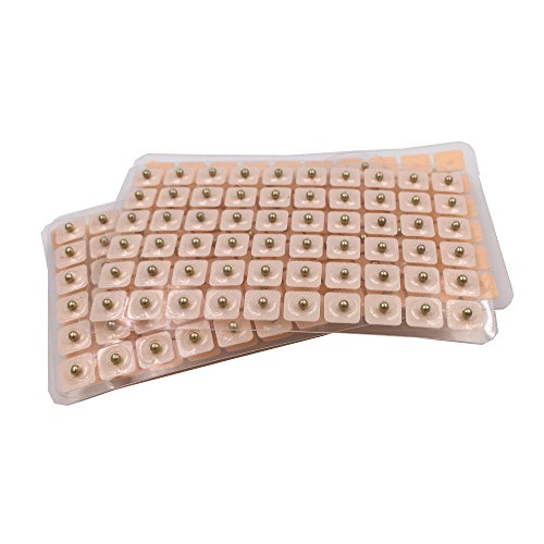 Dragon Acupuncture Magnetic Acupressure Ear Beads Pellets Seeds 300 Counts Refill Pack #TOP1