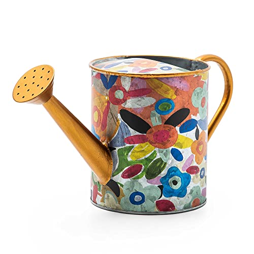 Mackenzie-Childs Avant Watering Can, Outdoor And Indoor Watering Can For Plants #TOP9