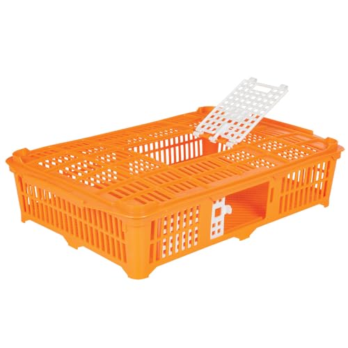 Premier 1 Quail Transport Crate - 26" L x 16"