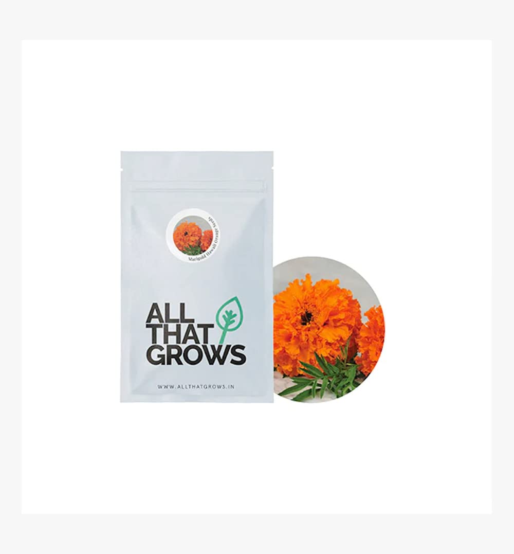 AllThatGrows Marigold Flower Seeds - Marigold Hawaii Orange Flower Gardening Seeds - Pack of 175 Seeds (B0B4P5FZJ2) Amazon Price History, Amazon Price Tracker