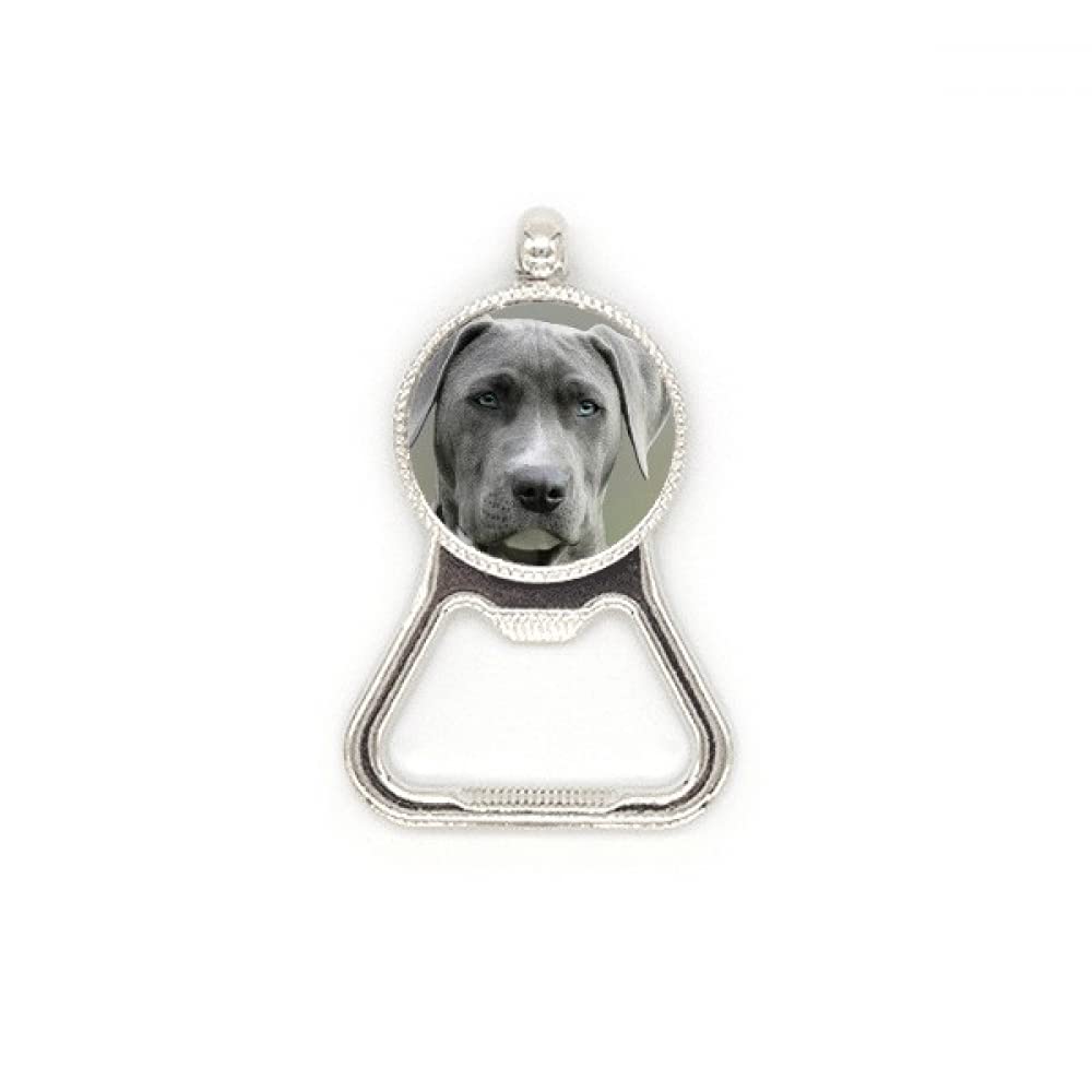 Décapsuleur acier inoxydable chien à prise ergonomique et durable