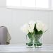 Pure Garden Tulip Floral Arrangement with Glass Vase - Cream