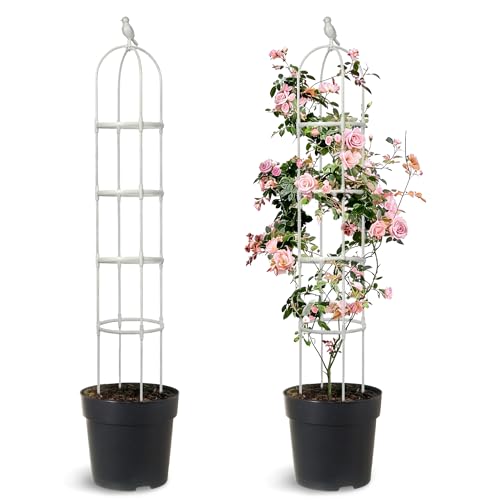 2 Pack Trellis for Climbing Planting Outdoor, 6ft Plant Trellis-Rustproof Metal Pipe with Heavy Duty Plastic Coated, Potted Plant Support for Clematis Vine Jasmine Support (White, 2 Pack)
