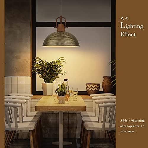 Emliviar Farmhouse Rustic Pendant Light Fixtures Set Of 2, Brass Pendant Lighting For Kitchen Island With Hammered Metal Dome Shade, Ge269Mil-2L Bg+Wd #TOP4