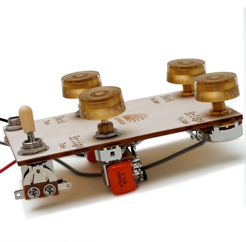Câble de micro pour guitare Les Paul idéal en studio et scène avec boutons or 2T2V
