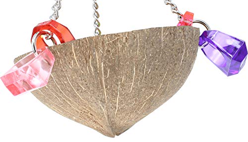 982 Coco Cup Bonka Bird Toys Natural Coconut Chew Grab Beak Parrot Parrotlet Budgie Finch Cockatiel Parakeet #TOP2