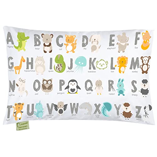 Best Organic Toddler Pillow 2021 Natural & Nontoxic Picks