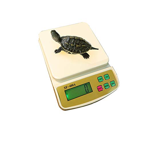 Digitale Waage für Reptilien, Eidechsen, Gecko, Schlangen, Frosch, Vögel, Hamster, große Elec, max. 10 kg Genauigkeit, 1 g Cover