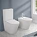 Coppia Sanitari Filomuro Monoblocco Rimless Con Design Moderno In Ceramica Bianco Lucida Linea Tygo, Completa Di Sedile Soft-Close