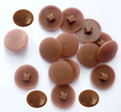 TERF® Brown Press-Fit Pozi Cover Cap 12mm (1/2 Inch) Diameter Push It Clip On for Pozidriv Head diameter 6g, 8g (3.5mm - Image 2