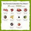 10 Heirloom Tomato Seeds - Open Pollinated Seeds for Planting Home Garden - Beefsteak, Roma, San Marzano, Cherokee Purple, Cherry Tomato & More