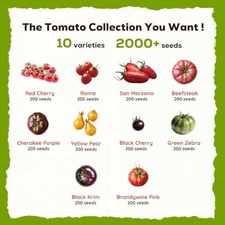 10 Heirloom Tomato Seeds - Open Pollinated Seeds for Planting Home Garden - Beefsteak, Roma, San Marzano, Cherokee Purple, Cherry Tomato & More