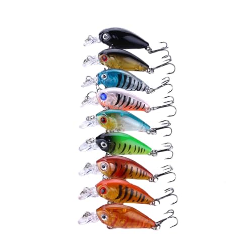 Loigohon Ȓނ胋A[9Zbg ? JtlHa ϋvf CނoXނΉ